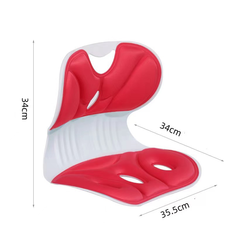 Cojín de soporte lumbar con es - Posture Corrector Back reseña y precio